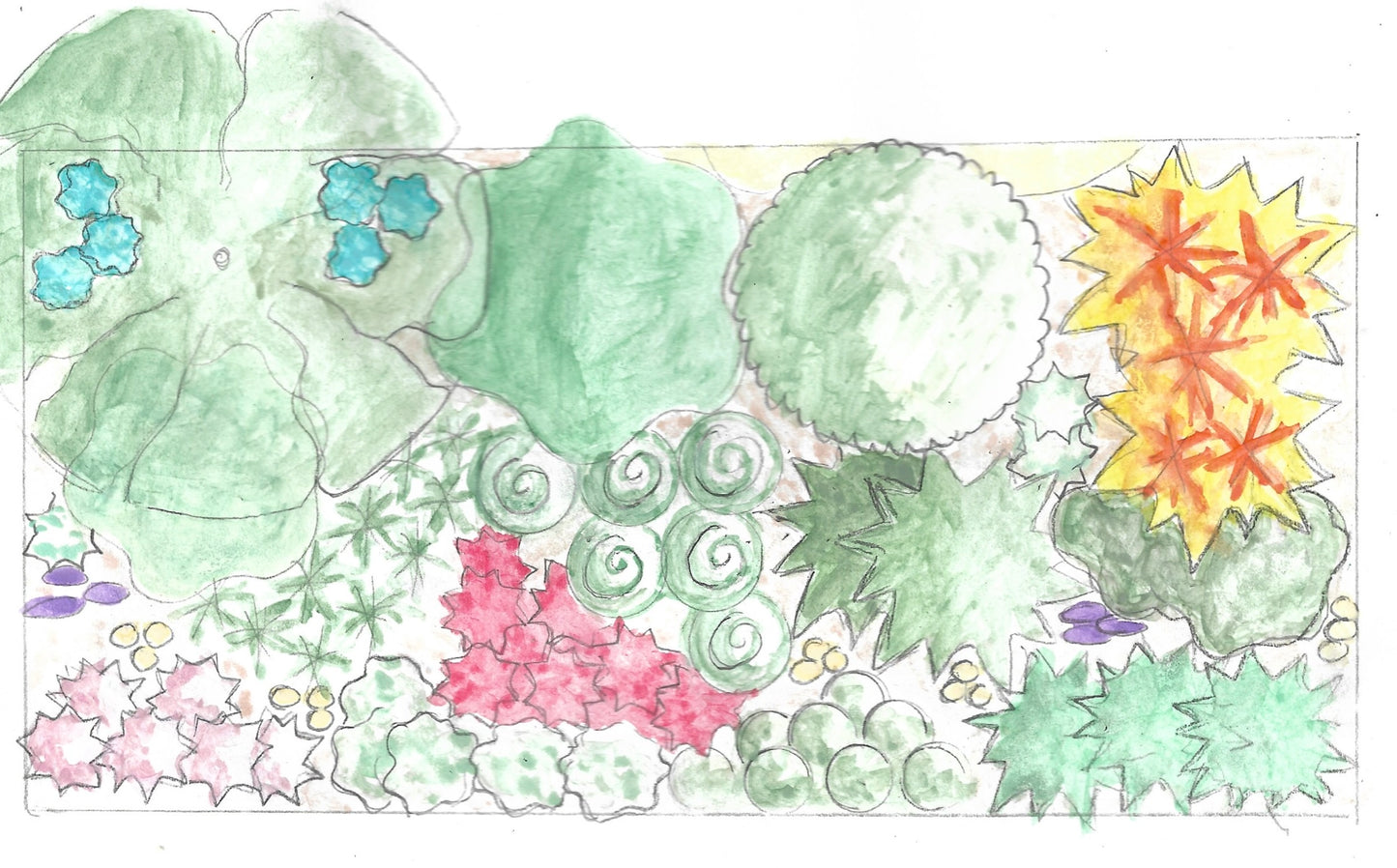 Garden Border Rescue