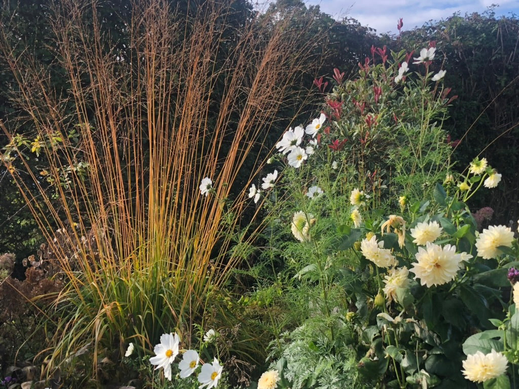 Autumn Gardening Course