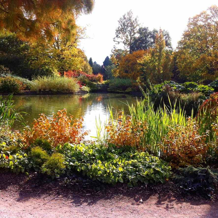 Autumn Gardening Course