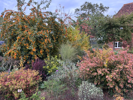 Autumn Gardening Course