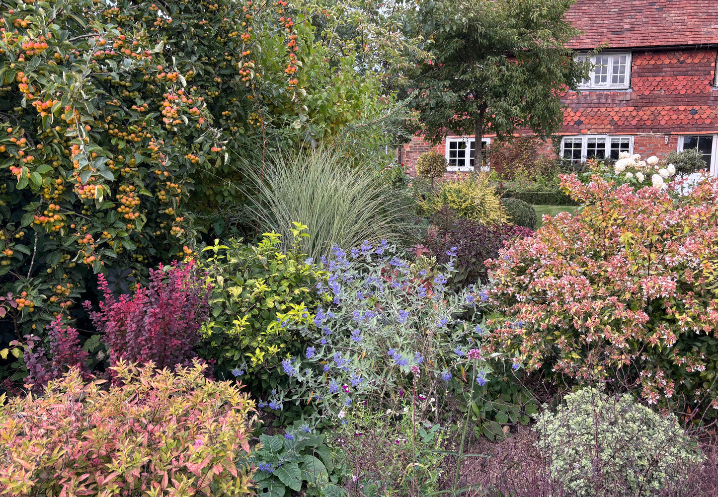 Garden Border Design 2 part workshops