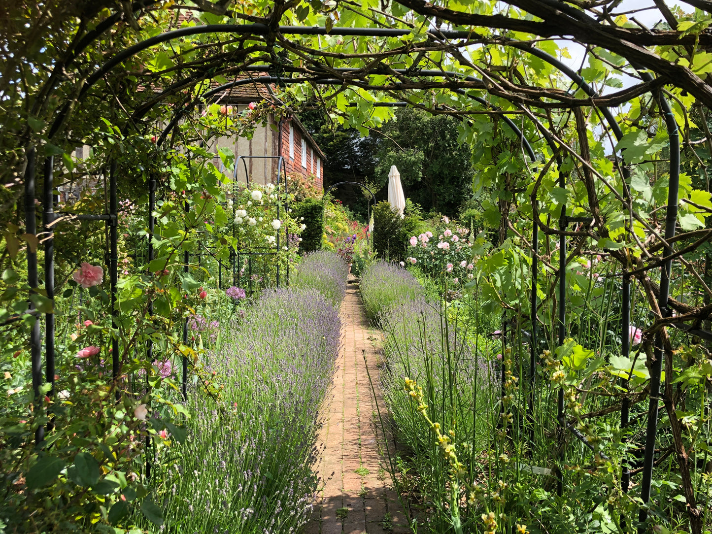 Garden Border Design 2 part workshop