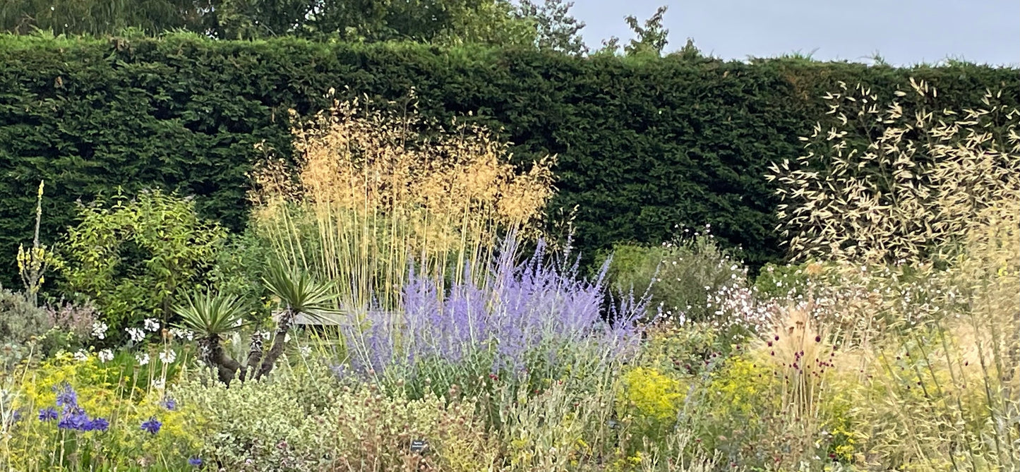 Garden Border Design 2 part workshop